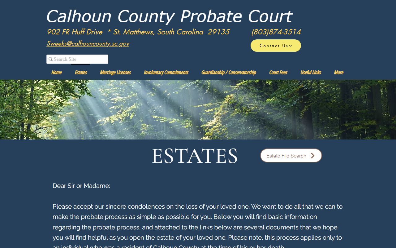 Calhoun County probate records estate overview